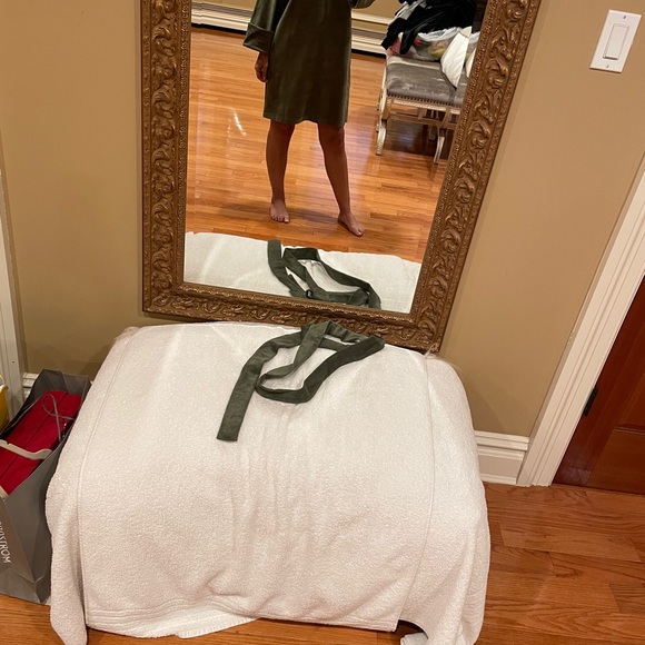 Olive Green Velvet Mini Dress - Picture 4 of 4